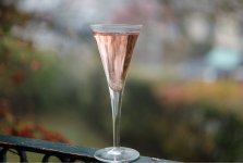 L1007287_DxO-z35d-14-c.jpg L1007287_DxO-z35d-14-c.jpg