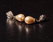 Cultured_.jpg Cultured_.jpg