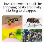 pests.png