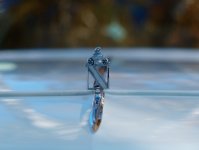 L1007135_DxO-z50p-2-c.jpg L1007135_DxO-z50p-2-c.jpg