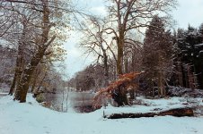 1638195922360.jpeg 1638195922360.jpeg