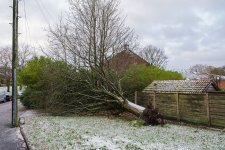 T30X2226 web.jpg T30X2226 web.jpg