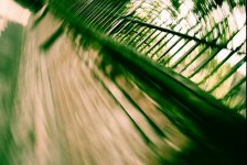 Acccidental Railings.jpg Acccidental Railings.jpg