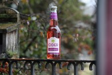 DSC_0002-d850-s150c.jpg DSC_0002-d850-s150c.jpg