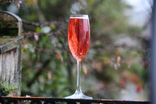 DSC_0006-d850-s150c.jpg DSC_0006-d850-s150c.jpg