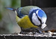 DSC_0036-d850-s15c.jpg DSC_0036-d850-s15c.jpg