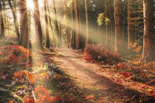 1638742242253.jpeg 1638742242253.jpeg