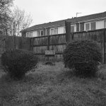 Rain 02-1010221.JPG Rain 02-1010221.JPG