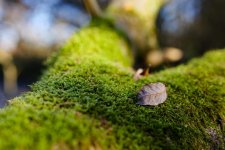 P1010281 edited (Large).jpg