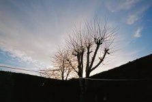 000011.JPG 000011.JPG