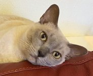 Week 48 - Living.jpg