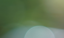 1639086365471.png 1639086365471.png