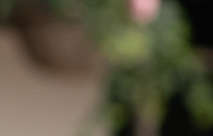 1639086555163.png 1639086555163.png