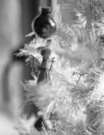 000004crop.jpg 000004crop.jpg