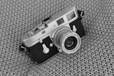 L1010226 PS Adj.JPG L1010226 PS Adj.JPG