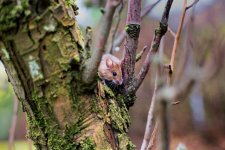 2AE197EF-C6F5-4158-BA81-1B004A3A5CF5.jpeg 2AE197EF-C6F5-4158-BA81-1B004A3A5CF5.jpeg