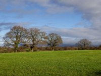 Blue-Sky.jpg Blue-Sky.jpg