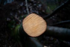 DSC07044.jpg DSC07044.jpg