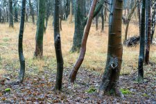 DSC07057.jpg DSC07057.jpg