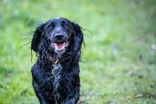 DSCF1634.jpg DSCF1634.jpg