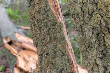 _7515637.jpg _7515637.jpg