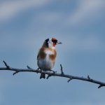 Week 48 - Living - Copy.jpg