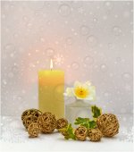 WEEK 49 - STILL LIFE.jpg