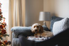 2021-12-16 14.23.38.jpg