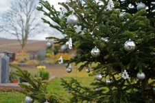 L1007497_DxO-z35b-2.jpg L1007497_DxO-z35b-2.jpg