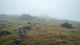 017 White Tor 04-6429 PS Adj.JPG 017 White Tor 04-6429 PS Adj.JPG