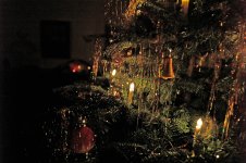 L1026885_DxO-L24a-28-f.jpg L1026885_DxO-L24a-28-f.jpg