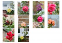 2021-07-01-portra160-rb67.jpg 2021-07-01-portra160-rb67.jpg