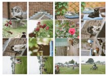 2021-08-20-portra160-eos30.jpg 2021-08-20-portra160-eos30.jpg