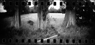 2019-06-19-Foma100+2-Sprocket06.jpg