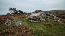 004 Bag Tor 03-1156 PS Adj.JPG 004 Bag Tor 03-1156 PS Adj.JPG