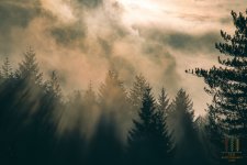 B386297B-FD2A-4804-A03F-524B82CB2D31.jpeg B386297B-FD2A-4804-A03F-524B82CB2D31.jpeg