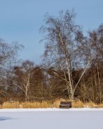 Dec 28-21 (1 of 1)-17.jpg