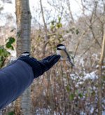 Dec 28-21 (1 of 1)-6.jpg