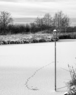 Dec 28-21 (1 of 2).jpg