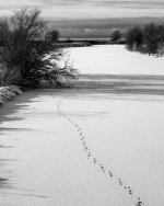 Dec 28-21 (1 of 1)-13.jpg