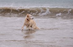 Social Media-2892.jpg