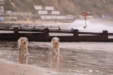 Social Media-2854.jpg