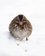 Dec 28-21 (1 of 1)-8.jpg