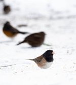 Dec 28-21 (1 of 1)-9.jpg