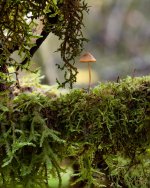 Oct 27-21 (1 of 1)-3.jpg