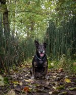 Sept 30-21 (2 of 2).jpg