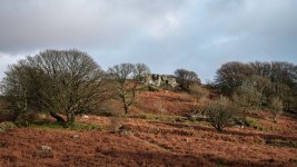 023 Miniscule Sausage Area 02-1966 PS Adj.JPG 023 Miniscule Sausage Area 02-1966 PS Adj.JPG