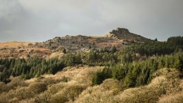 028 Leather Tor 01-6533 PS Adj.JPG 028 Leather Tor 01-6533 PS Adj.JPG