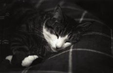 E3F5CFCF-FEE2-4C0C-85D4-6689C50F9D14.jpeg E3F5CFCF-FEE2-4C0C-85D4-6689C50F9D14.jpeg