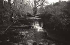 16FB894F-2BF8-4234-AB8D-5480E74EDA51.jpeg 16FB894F-2BF8-4234-AB8D-5480E74EDA51.jpeg